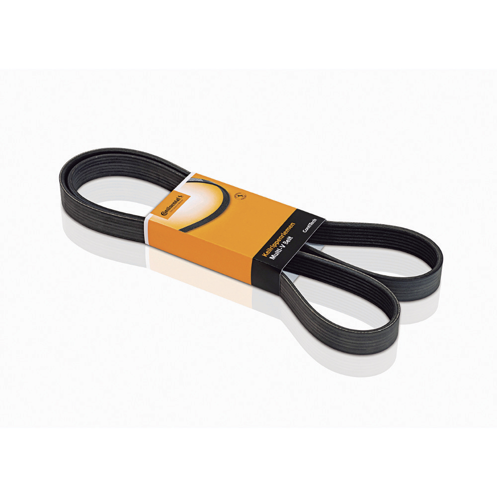 CORREIA MULTI V
