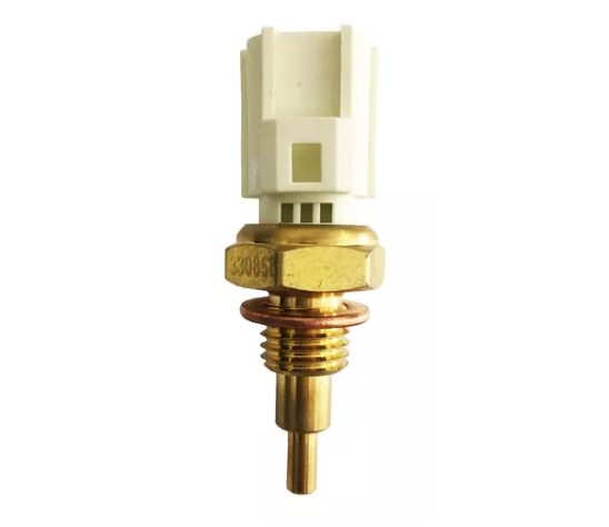 PLUG ELETRONICO