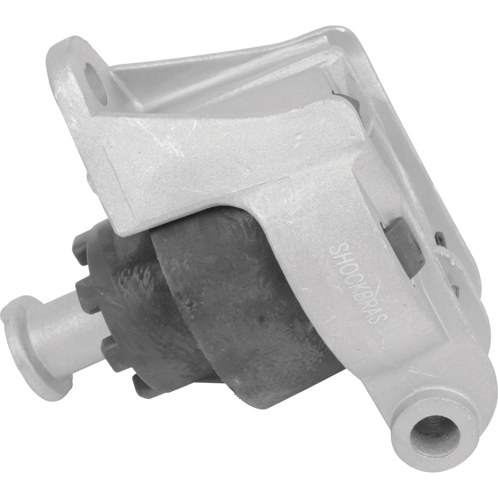 COXIM DO MOTOR TRASEIRO