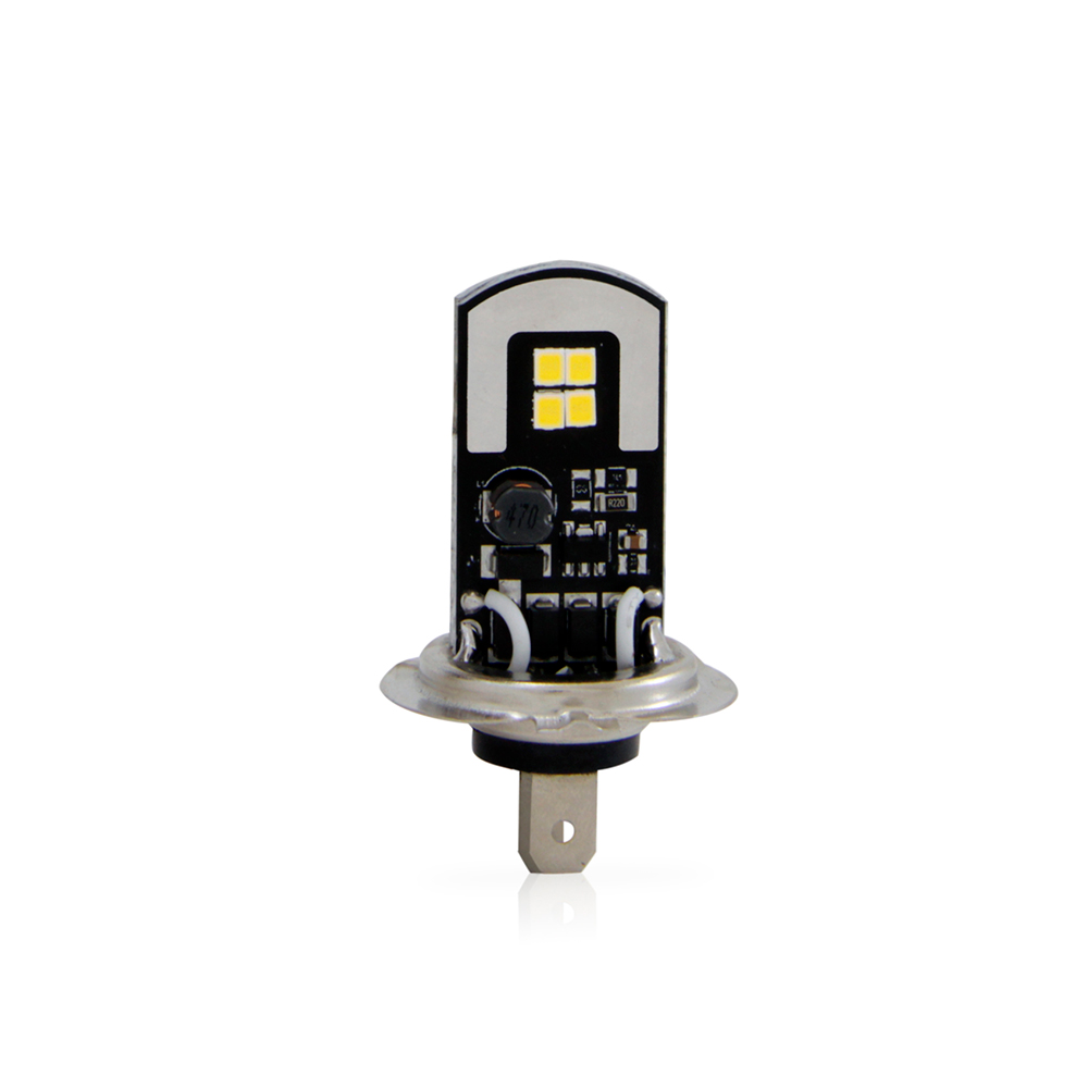 LAMPADA
