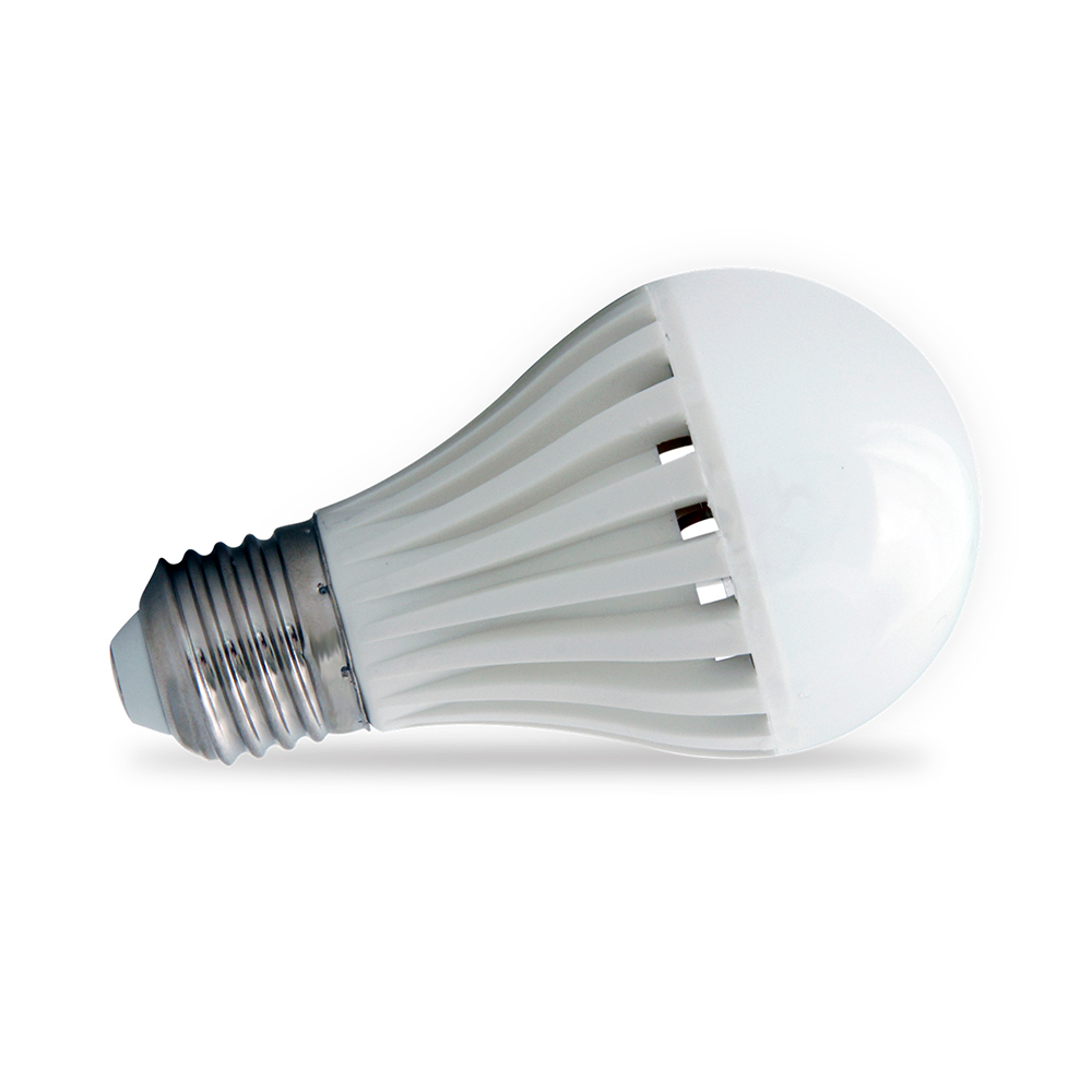 LAMPADA