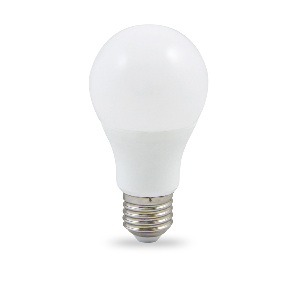 LAMPADA