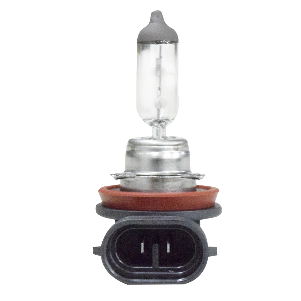 LAMPADA