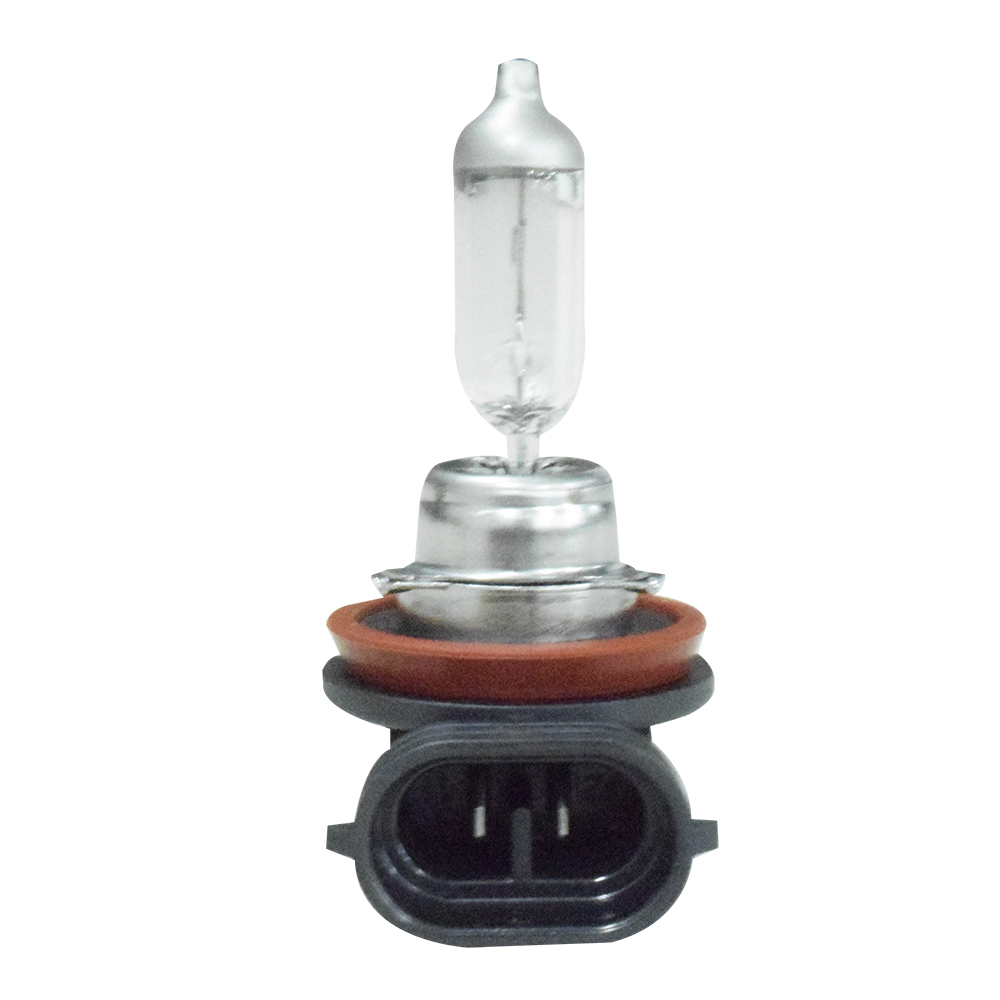 LAMPADA