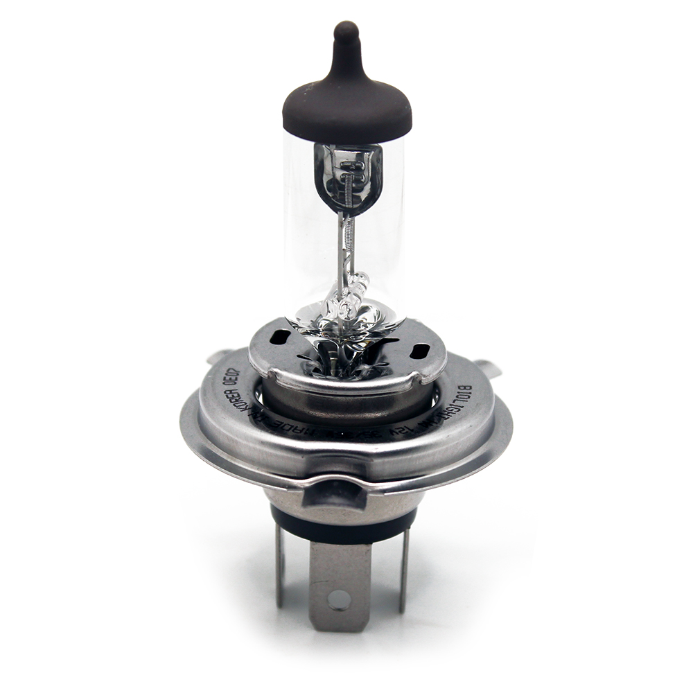 LAMPADA