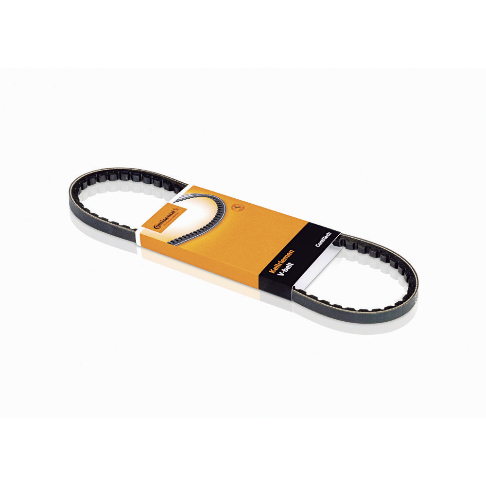 CORREIA MULTI V