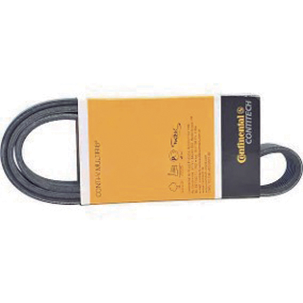 CORREIA MULTI V