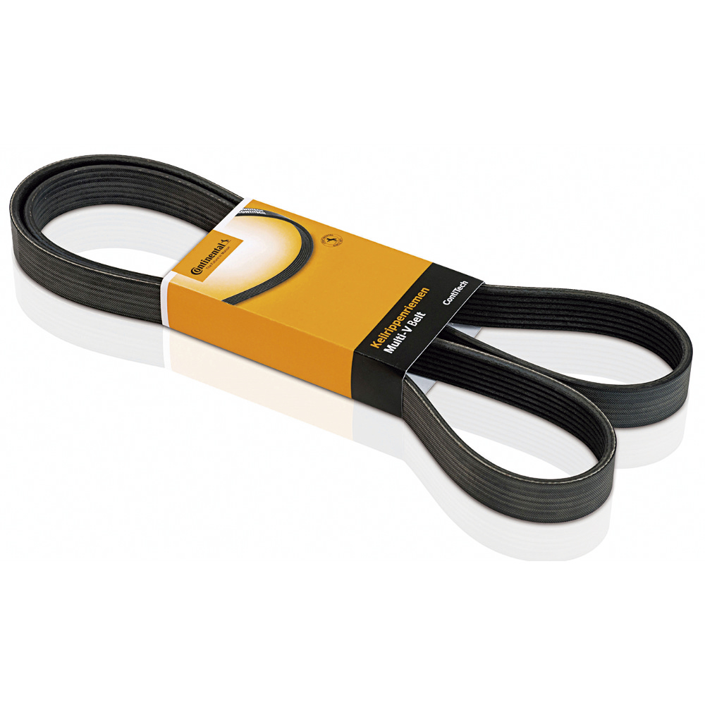 CORREIA MULTI V