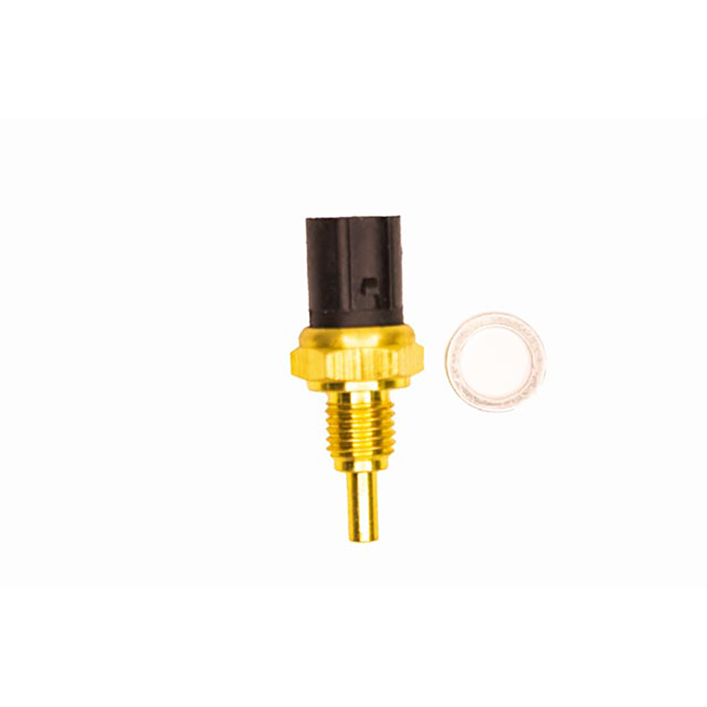 PLUG ELETRONICO