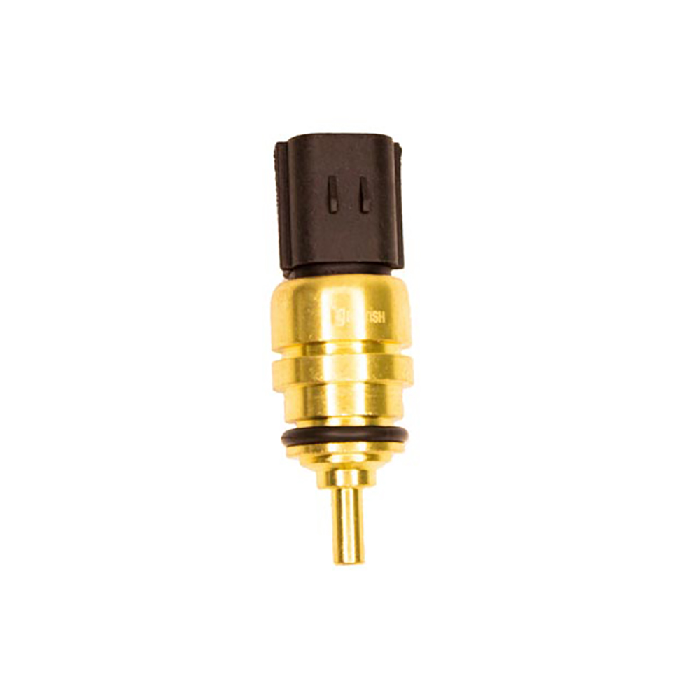 PLUG ELETRONICO
