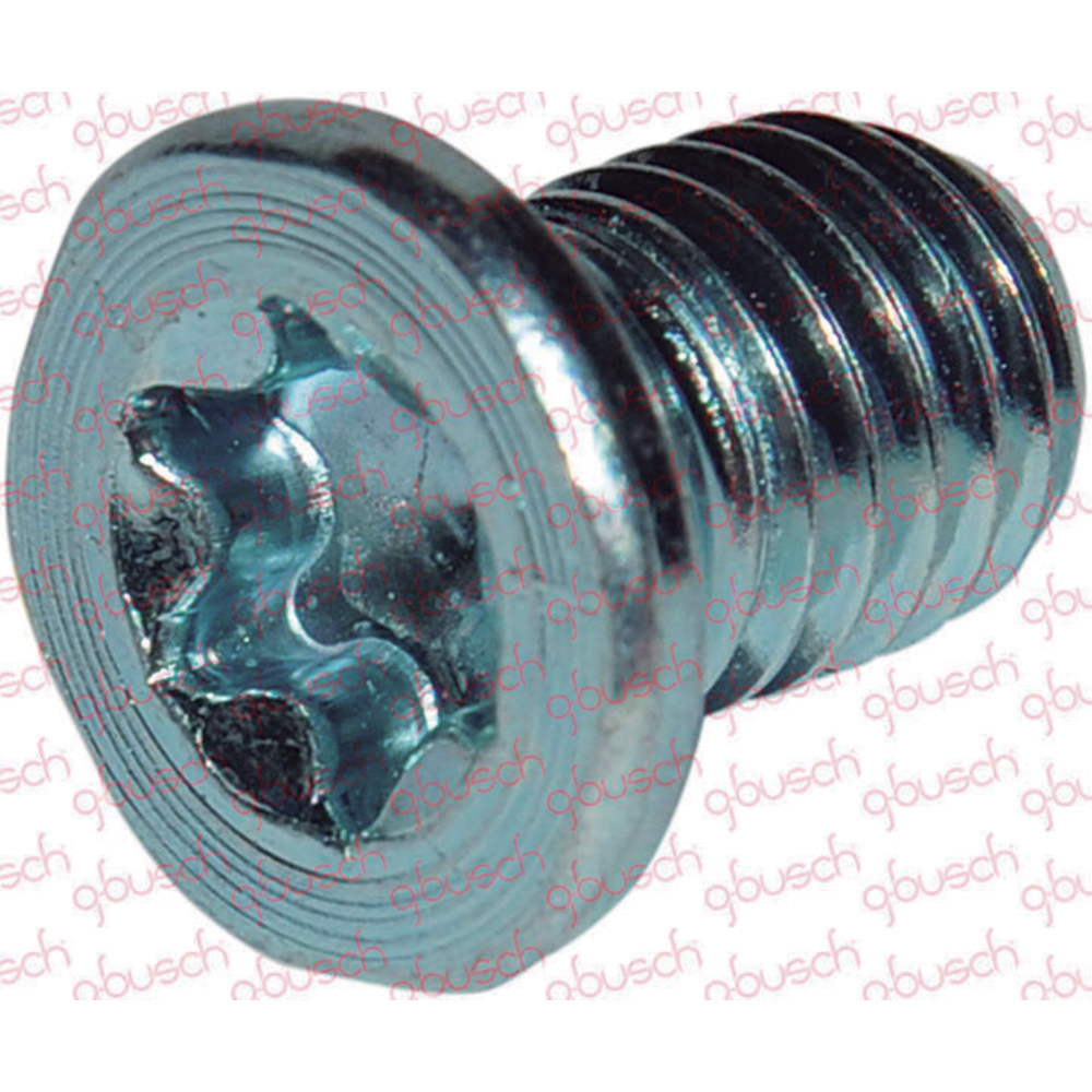 PARAFUSO DE FIXACAO DA SAPATA DO MOTOR DE PARTIDA
