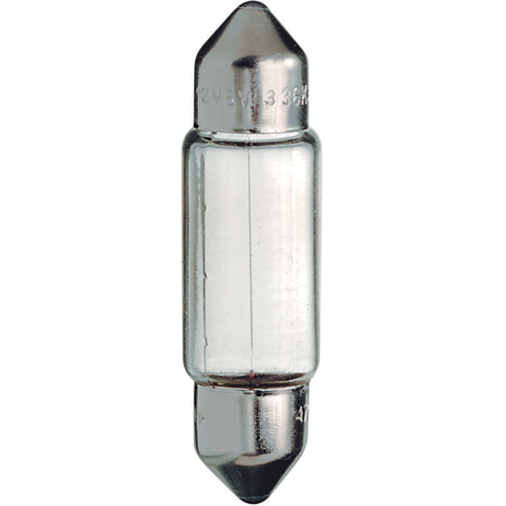 LAMPADA