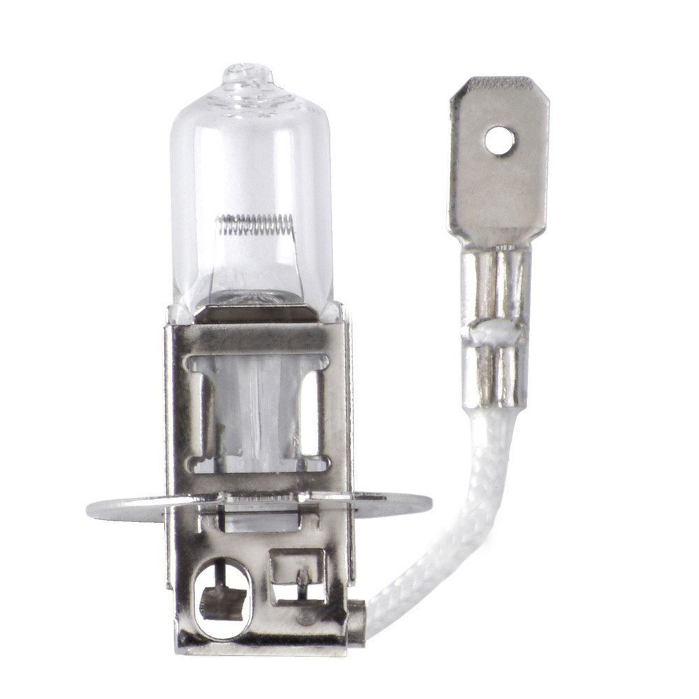 LAMPADA