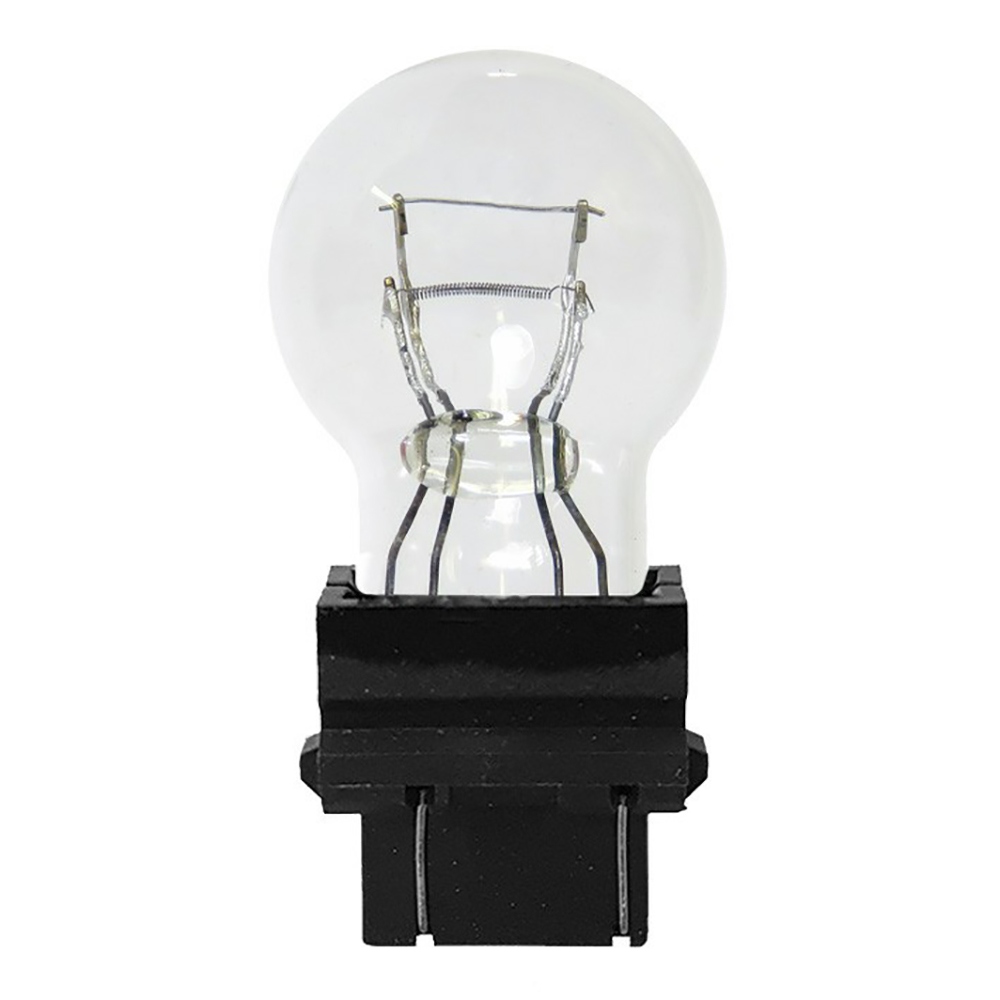 LAMPADA