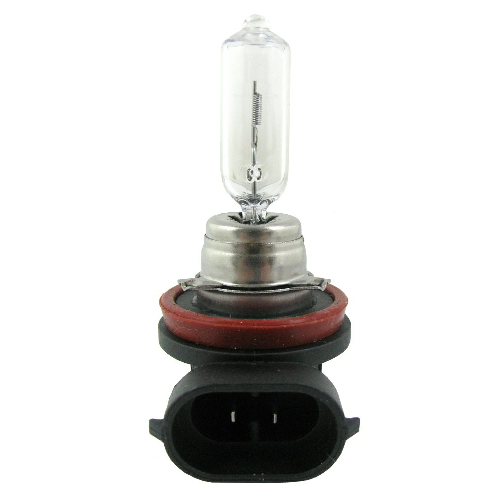 LAMPADA