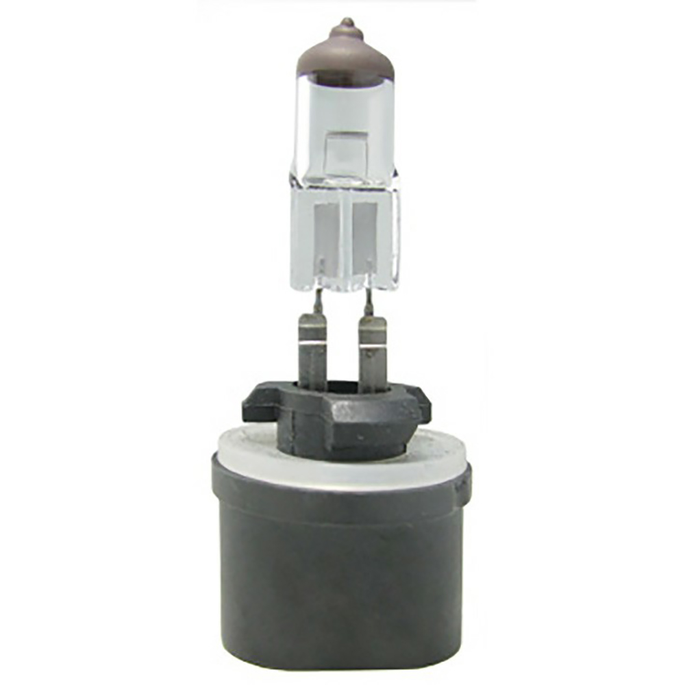 LAMPADA