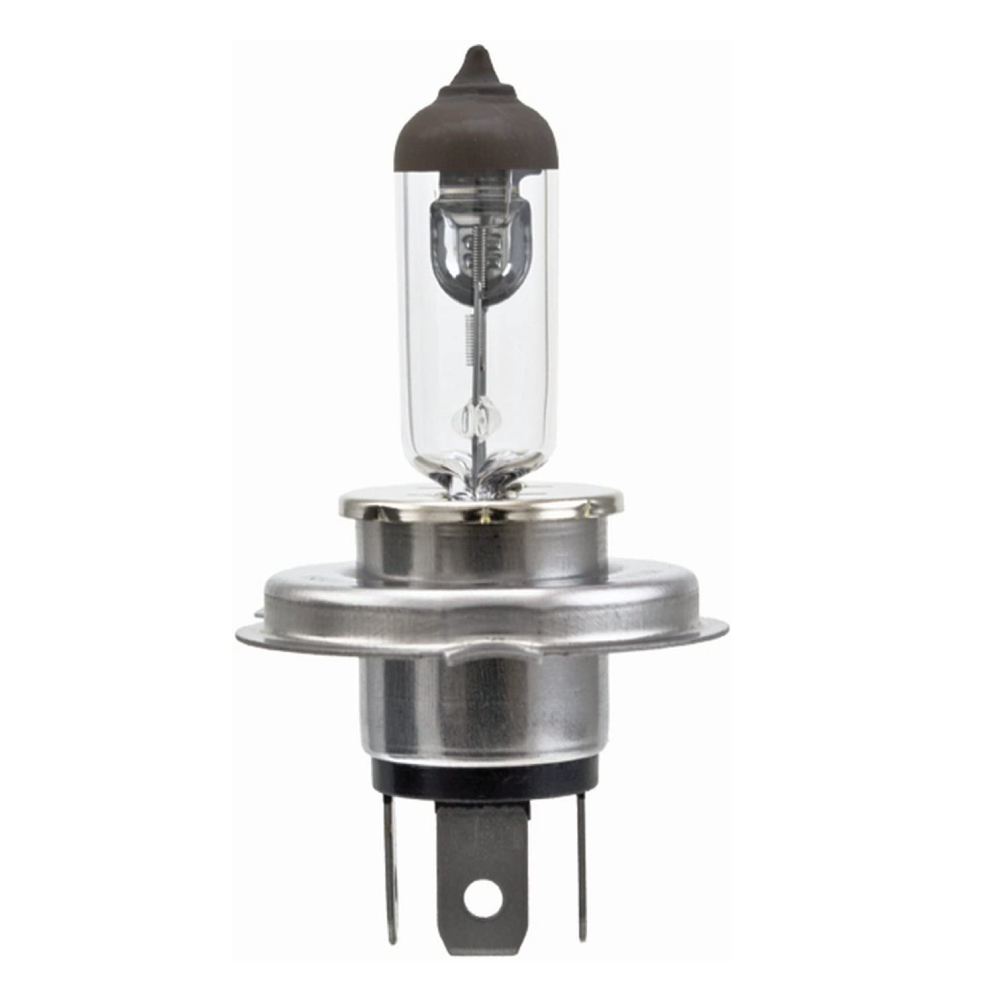 LAMPADA