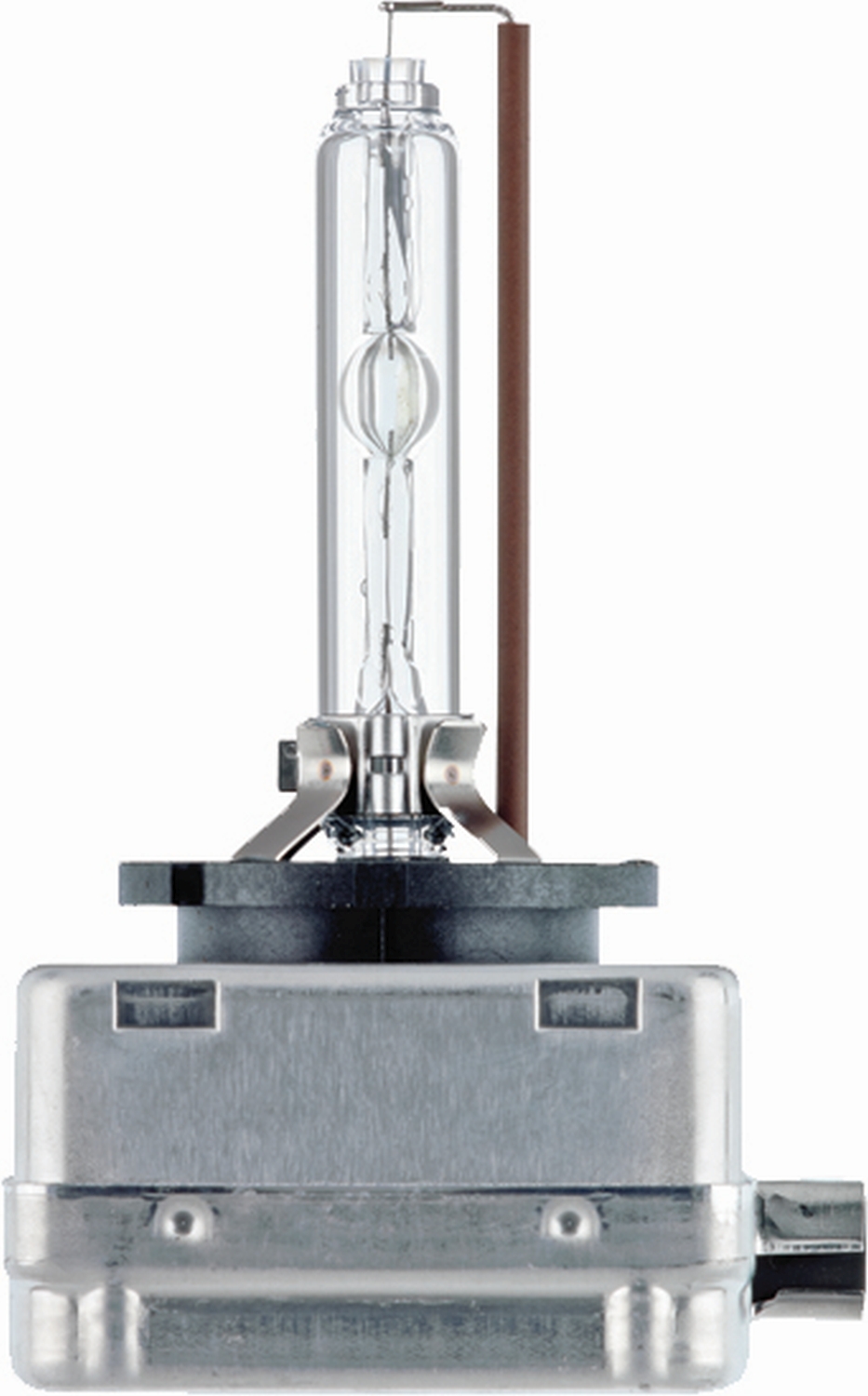 LAMPADA