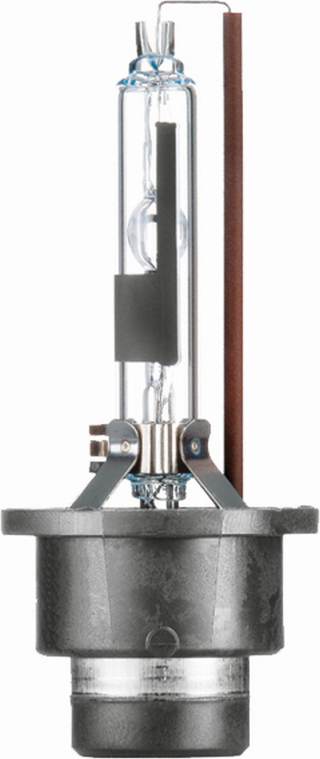 LAMPADA