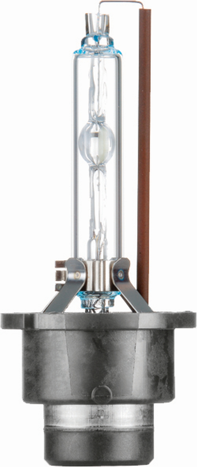 LAMPADA