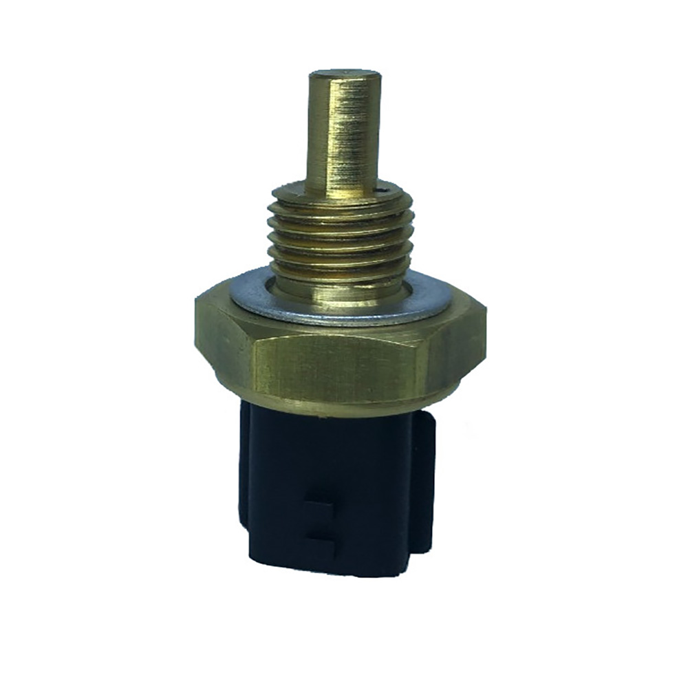 PLUG ELETRONICO