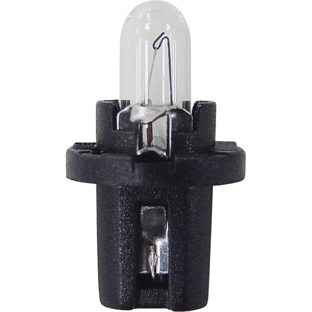 LAMPADA