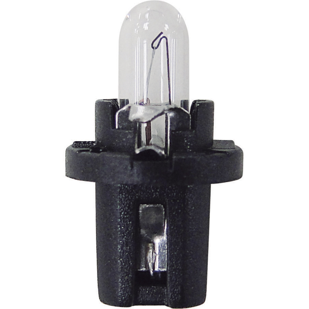 LAMPADA