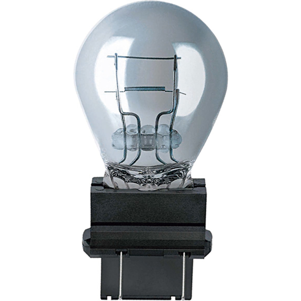 LAMPADA