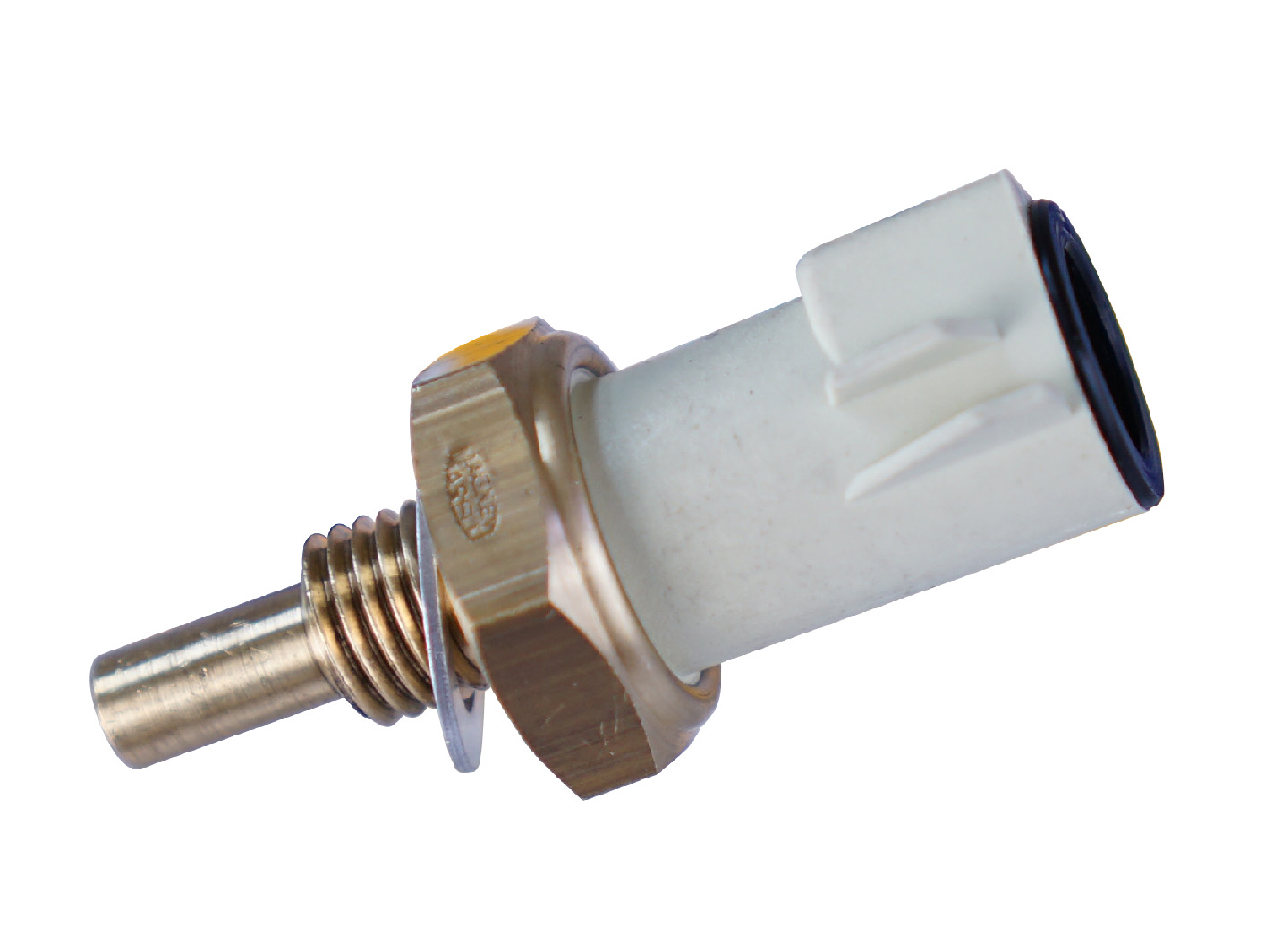 PLUG ELETRONICO
