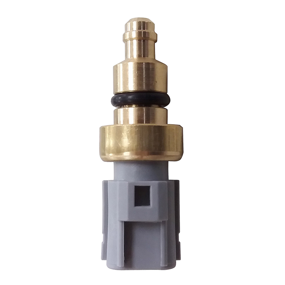 PLUG ELETRONICO
