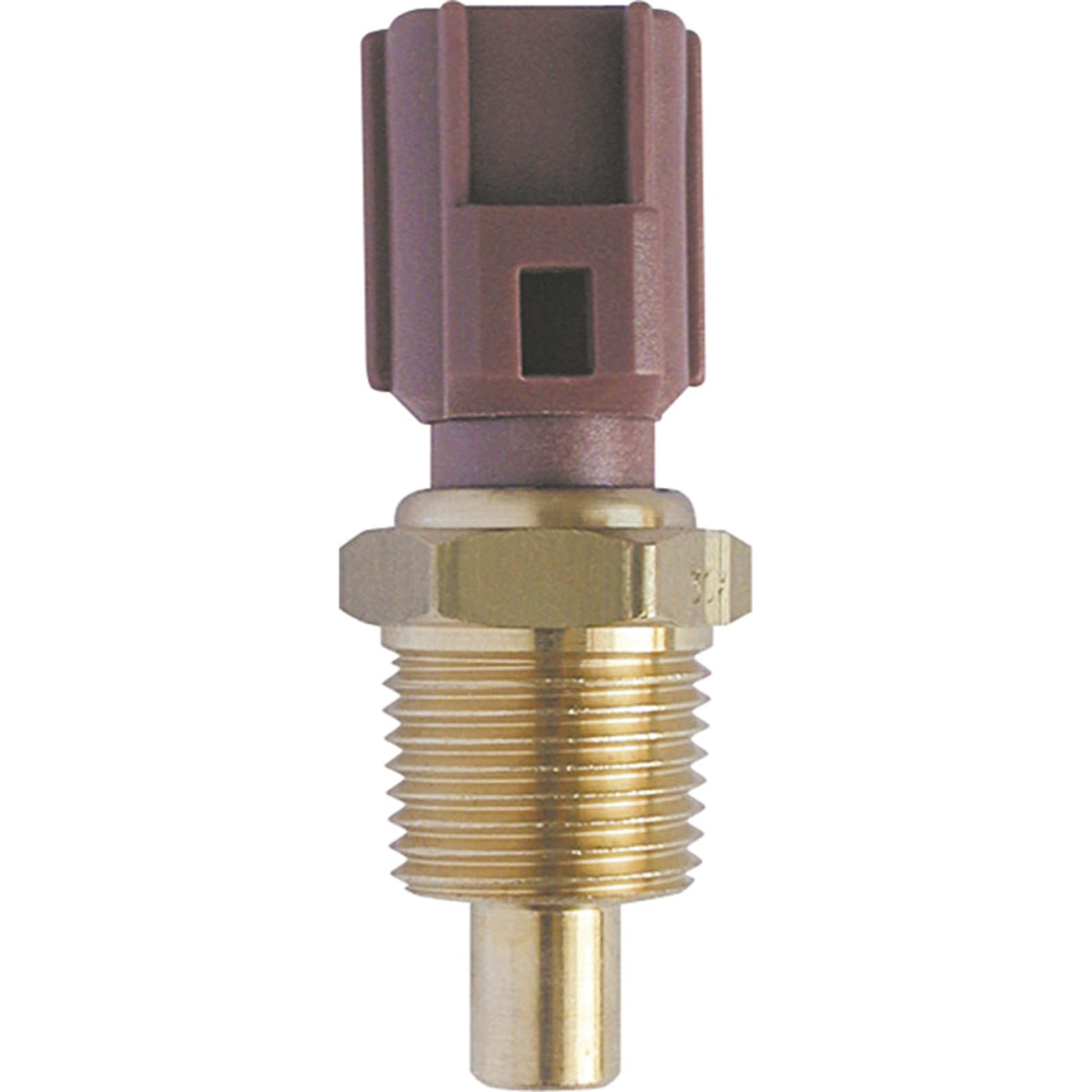 PLUG ELETRONICO