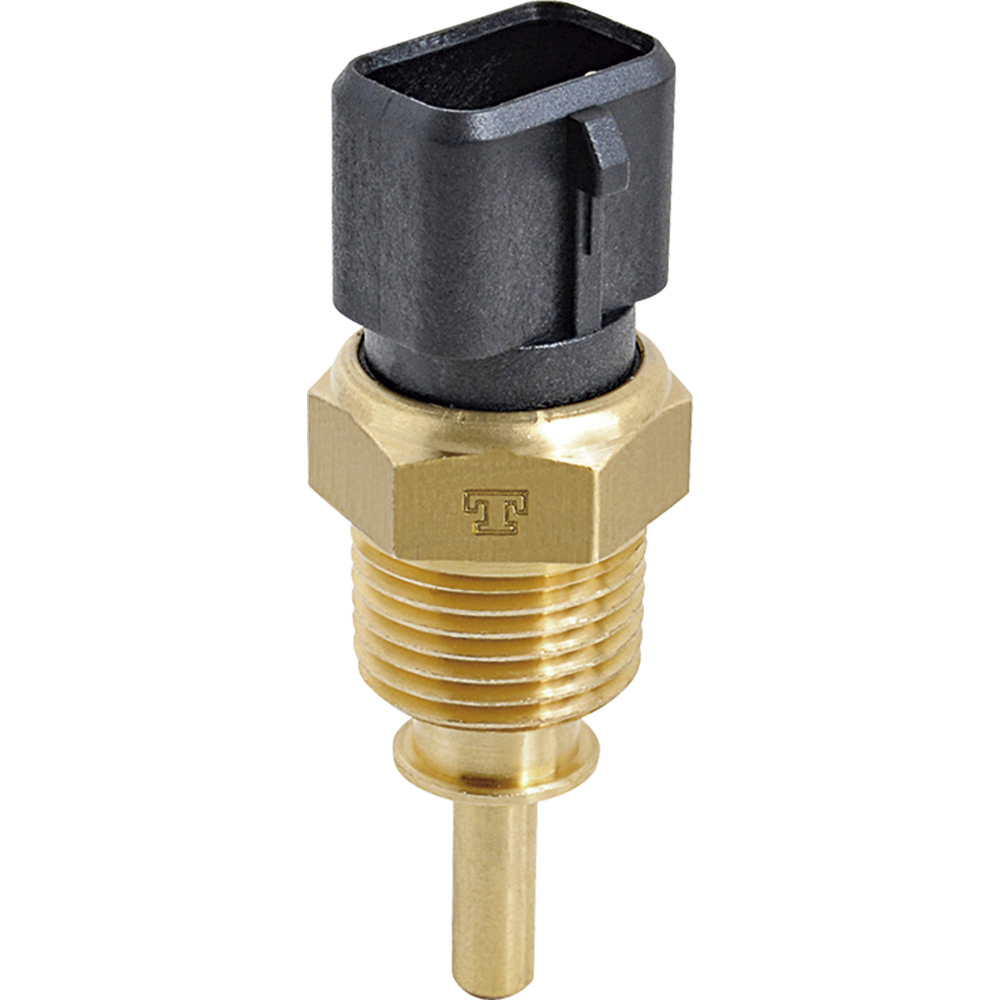 PLUG ELETRONICO