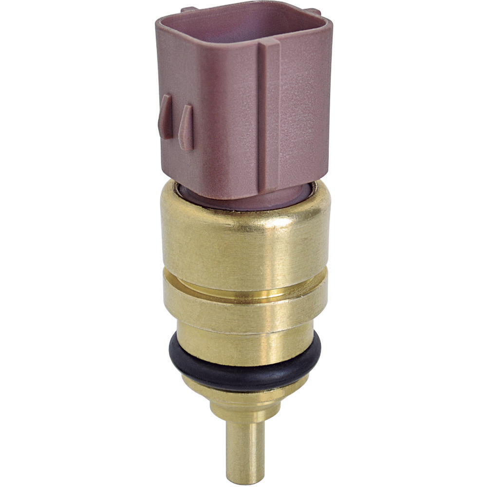 PLUG ELETRONICO
