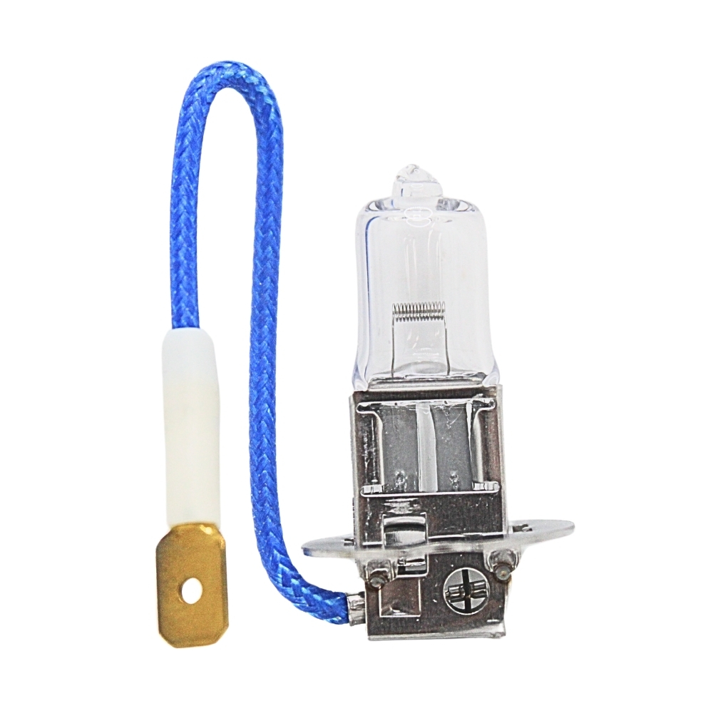 LAMPADA