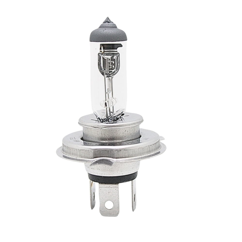 LAMPADA
