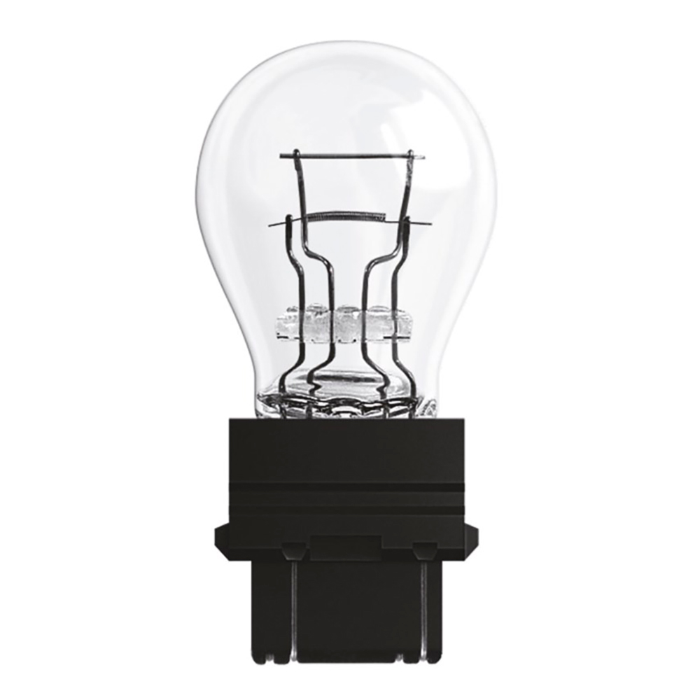 LAMPADA
