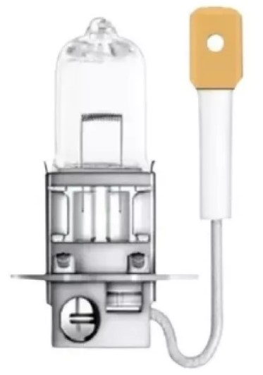 LAMPADA