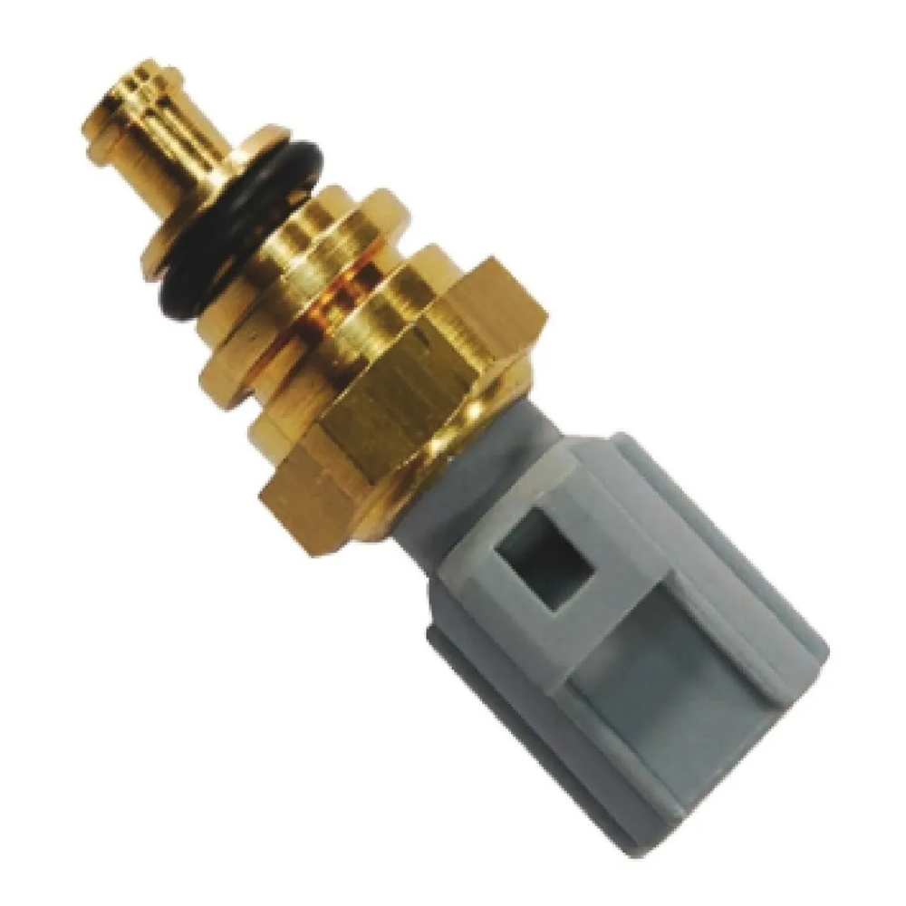 PLUG ELETRONICO