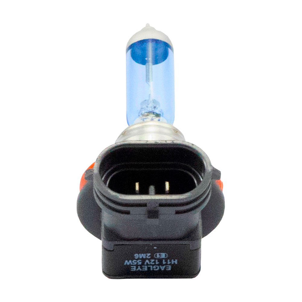 LAMPADA
