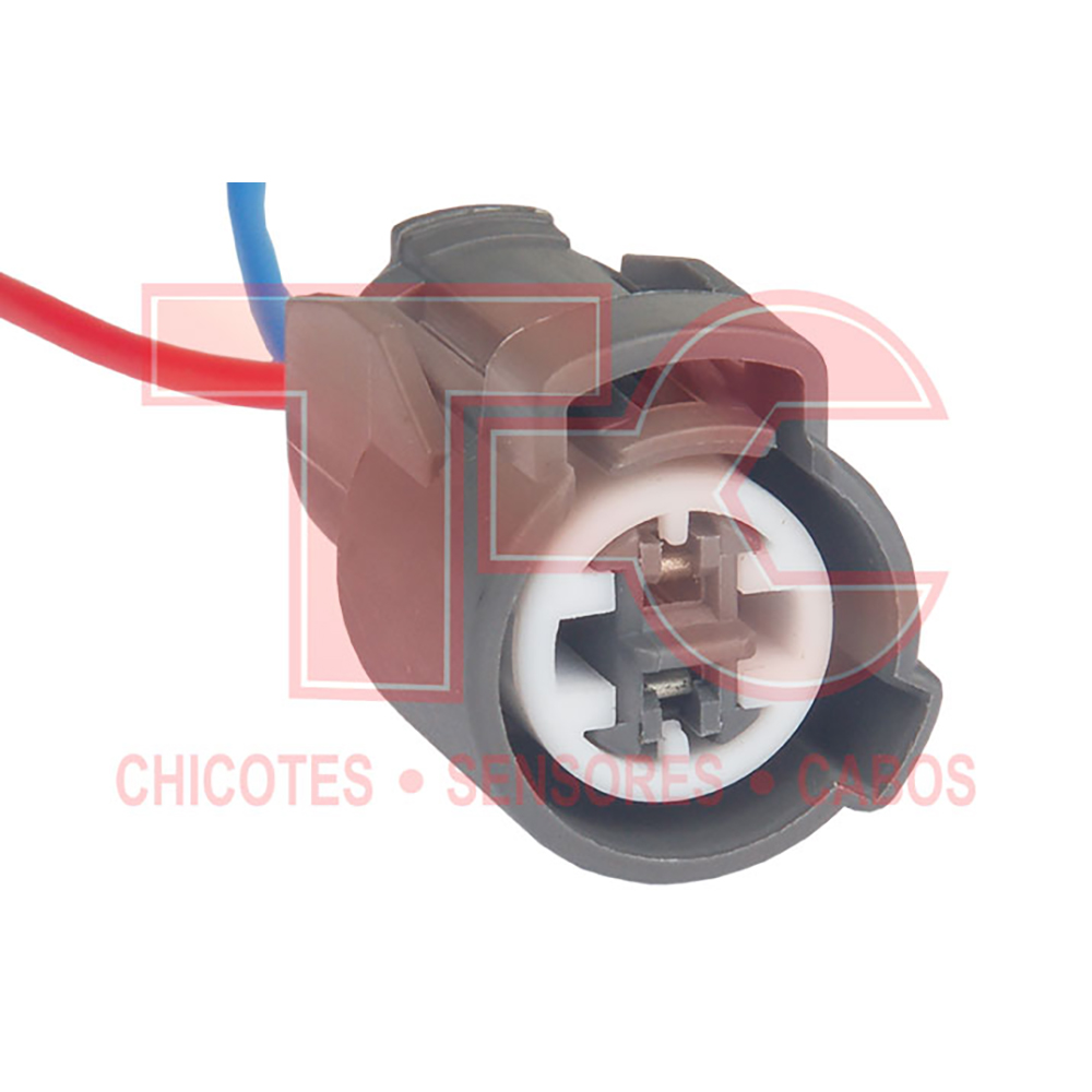 CHICOTE