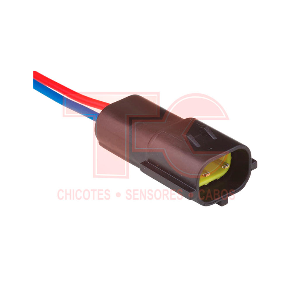 CHICOTE