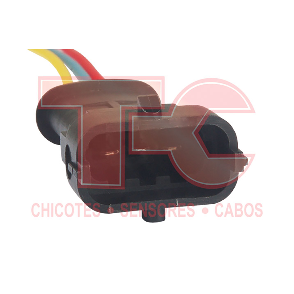 CHICOTE