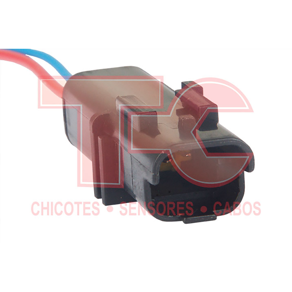 CHICOTE