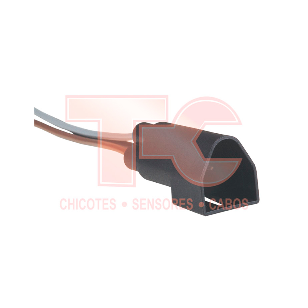 CHICOTE