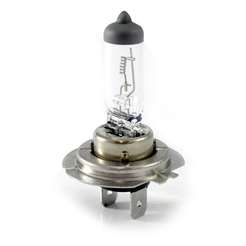 LAMPADA