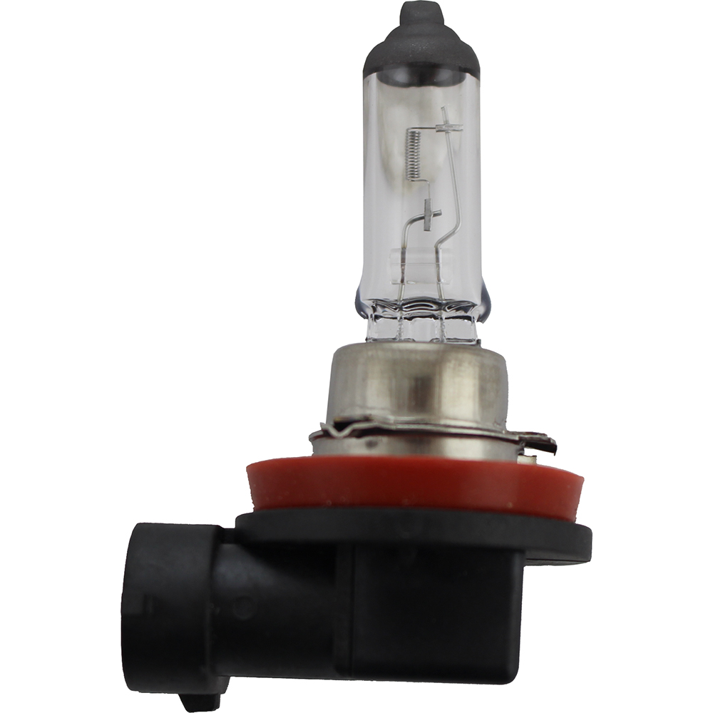 LAMPADA