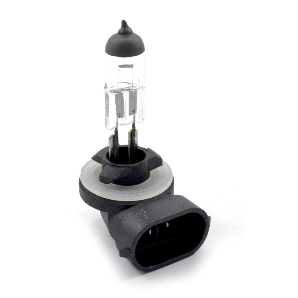 LAMPADA